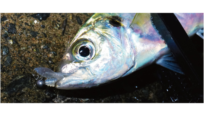 ブリリアント 1.8インチ